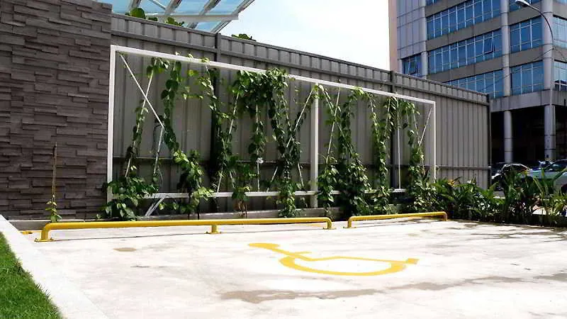 酒店 乔治敦 海里康属植物旅馆酒店